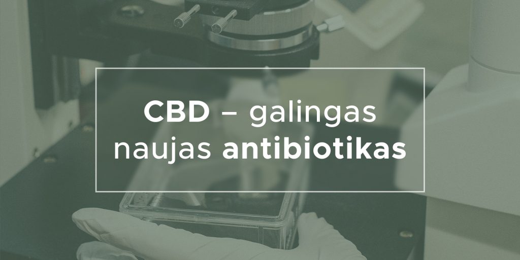 CBD - galingas naujas antibiotikas | We Are Canna