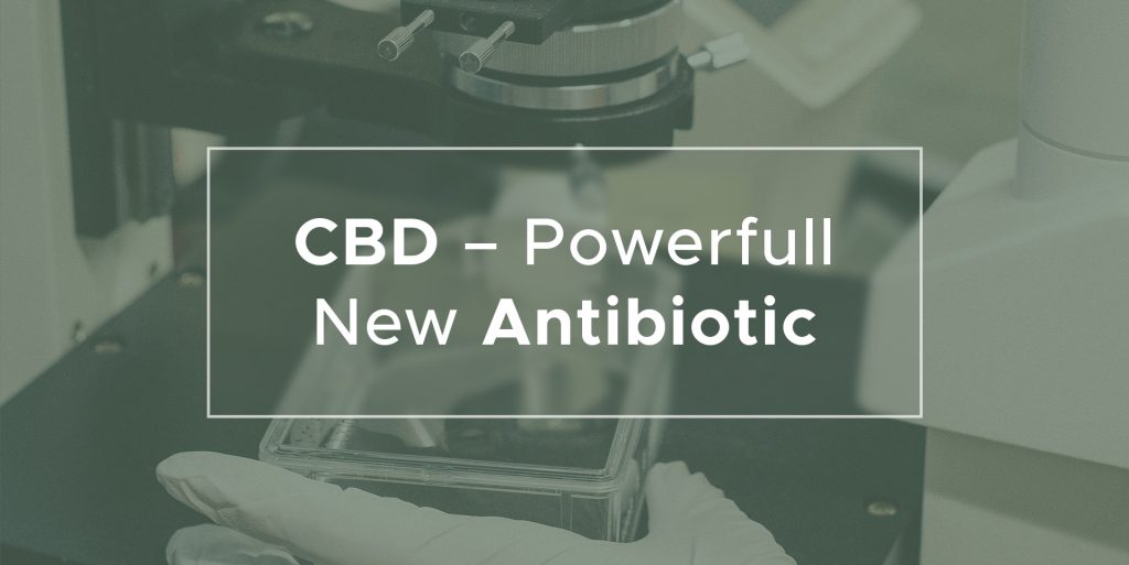 CBD - powerful new antibiotic | We Are Canna