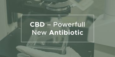 CBD - powerful new antibiotic | We Are Canna