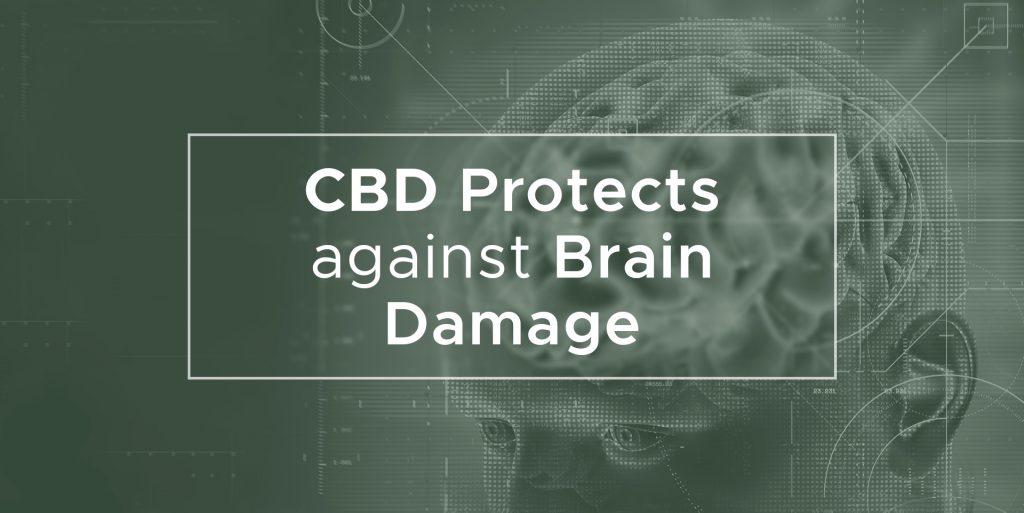 CBD Protects against Brain Damage