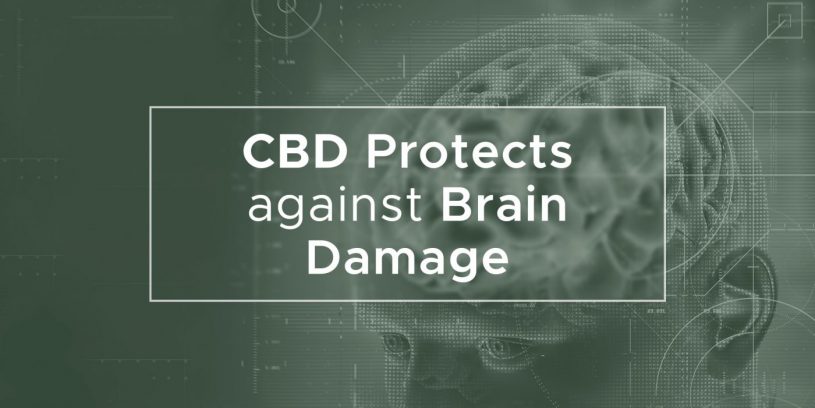 CBD Protects against Brain Damage