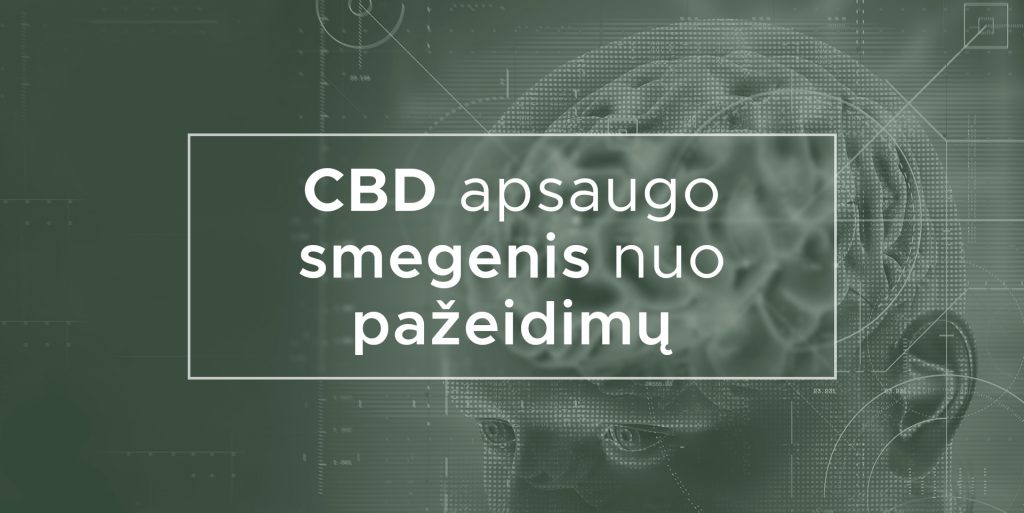 CBD apsaugo smegenis nuo pažeidimų