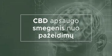CBD apsaugo smegenis nuo pažeidimų