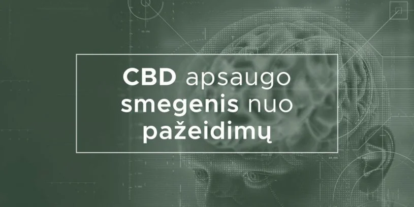 CBD apsaugo smegenis nuo pažeidimų