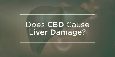 CBD liver damage - CBD kepenų pažeidimai