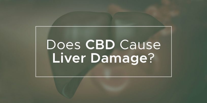 Does Cbd Cause Liver Damage