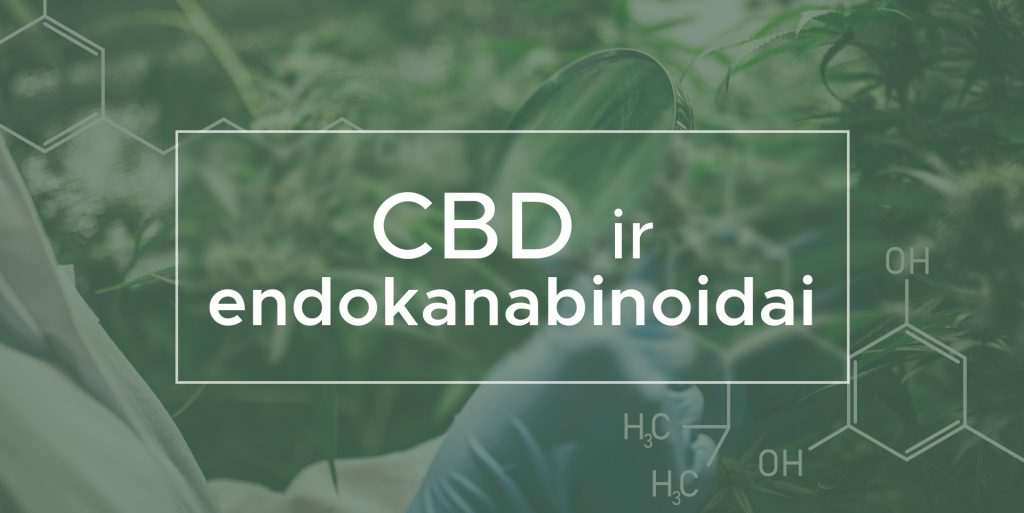 CBD ir endokanabinoidai | We Are Canna