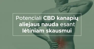 Potenciali CBD kanapių aliejaus nauda esant lėtiniam skausmui