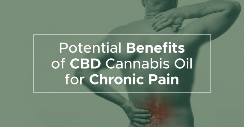 Potential benefits of CBD cannabis oil for chronic pain