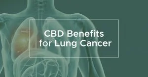 CBD oil Benefits for Lung Cancer | We Are Canna