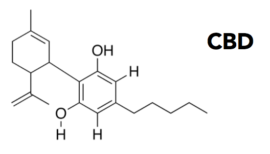 we-are-canna-cbd-oil-Netherlands