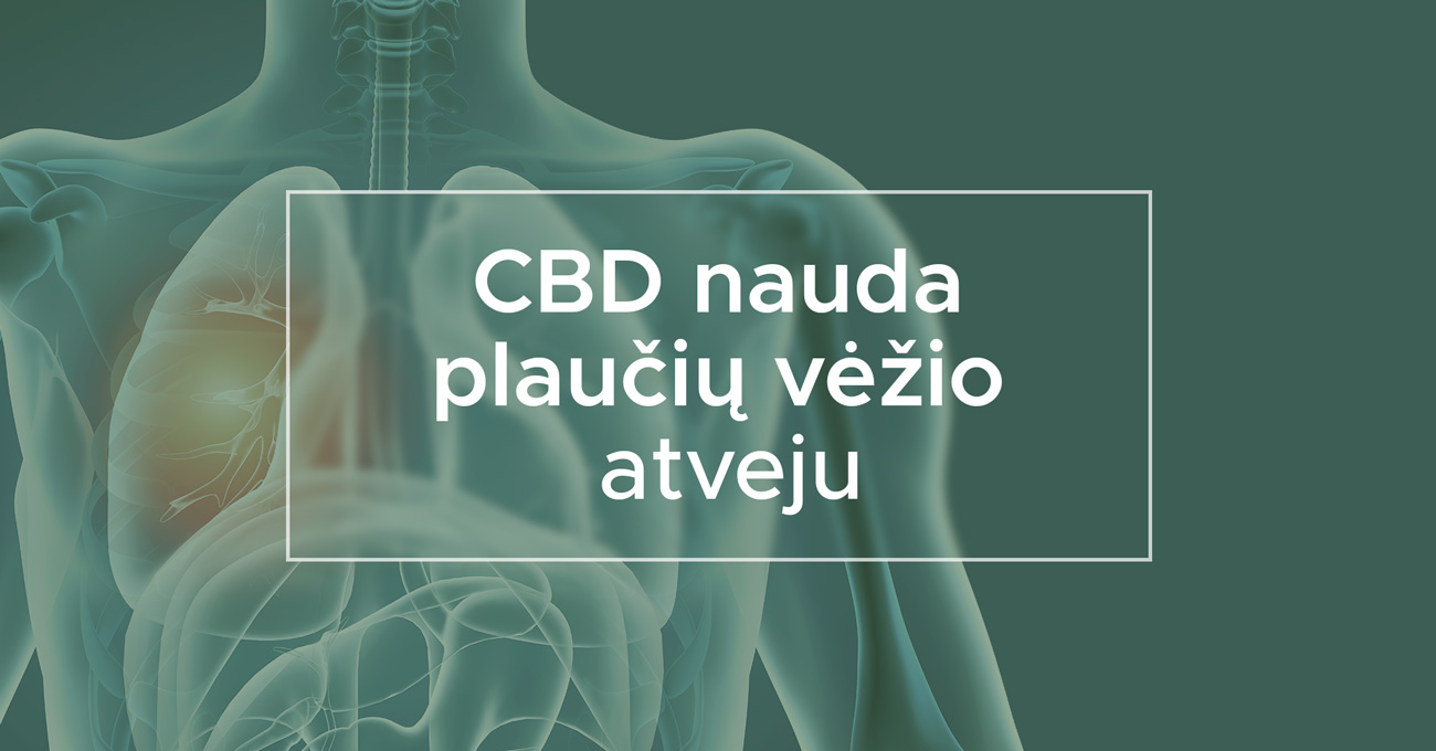 Cbd Nauda Plaucių Vėzio Atveju We Are Canna Cbd Ir Onkologija