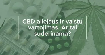 CBD aliejaus ir vaistų vartojimas. Ar tai suderinama?