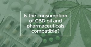 Is the consumption of CBD oil and pharmaceuticals compatible? | We Are Canna