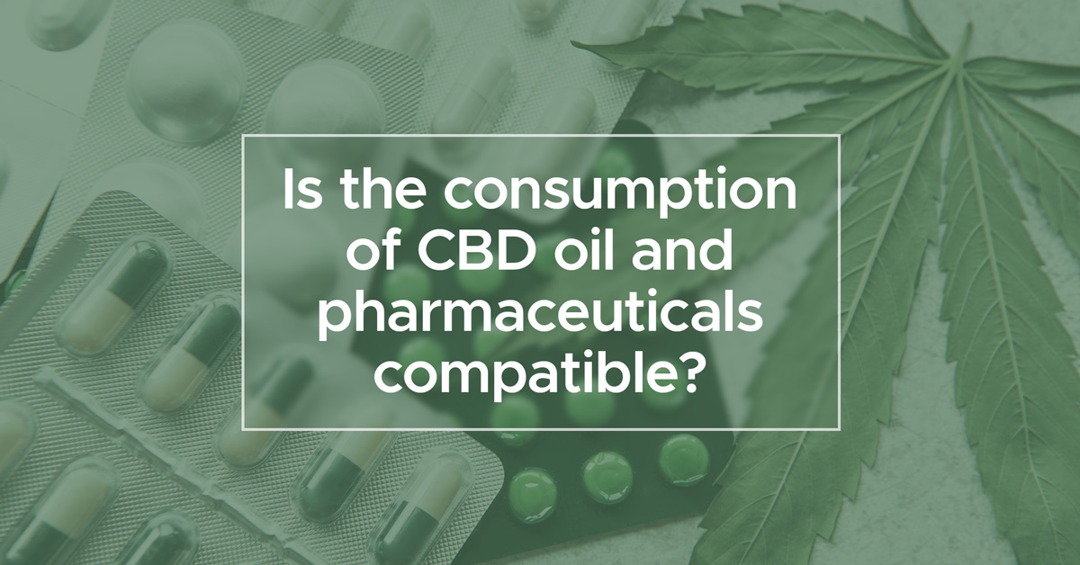 Is the consumption of CBD oil and pharmaceuticals compatible? | We Are Canna