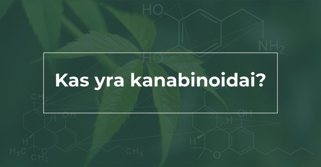 kas-yra-kanabinoidai-we-are-canna-cbd-kaknapiu-aliejus