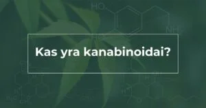 kas-yra-kanabinoidai-we-are-canna-cbd-kaknapiu-aliejus