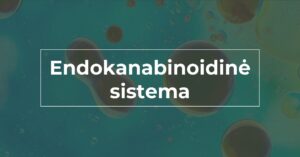 kas-yra-endokanabinoidine-sistema-we-are-canna