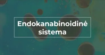 kas-yra-endokanabinoidine-sistema-we-are-canna
